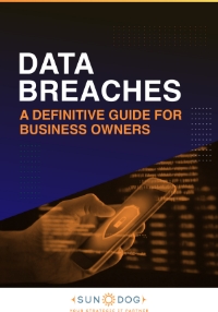 TY DataBreaches Cover