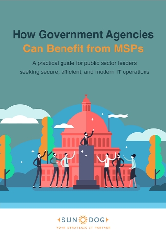 LD Sundog How Government Agencies Can Benefit from MSPs Cover