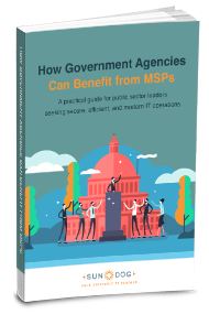 Sundog How Government Agencies Can Benefit from MSPs Cover