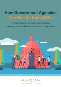 TY Sundog How Government Agencies Can Benefit from MSPs Cover